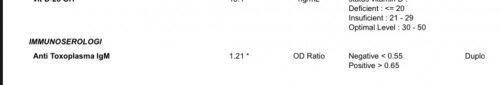 Toxo positif??