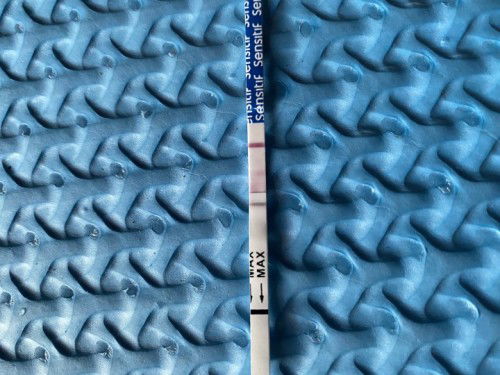 Testpack tidak jelas