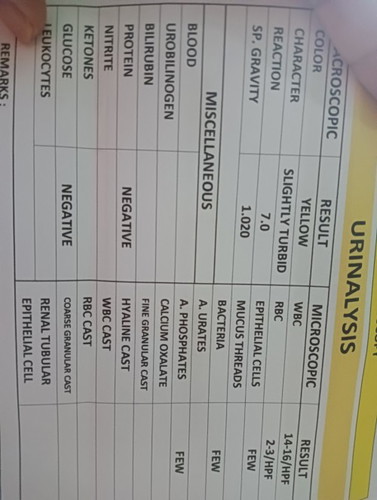 Urinalysis Test Result