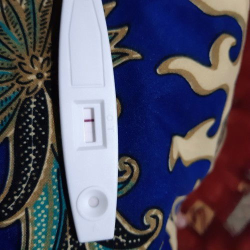 garisan 1 nampak samar samar . apa kah tanda mengandung atau pun ?