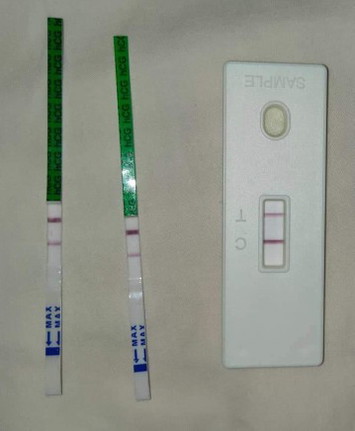 3rd day of missed period positive pregnancy test