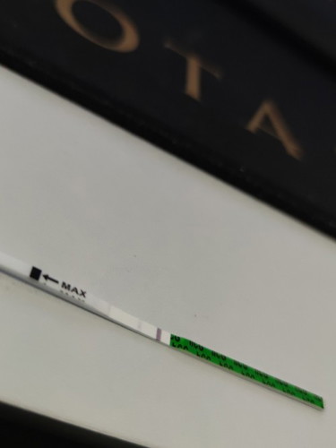 Hamil / Tidak
