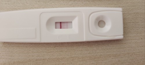 PT TEST FAINT LINE