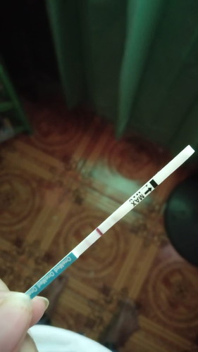 bun ini tespek aku tadi pagi iki positip atau tidak