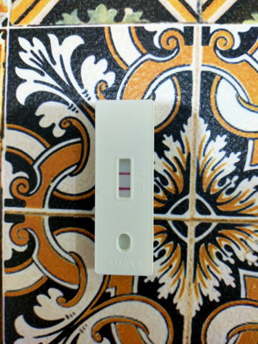 Milk for pregnant