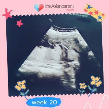 ขอดูทีมตุลาหน่อยค่ะ