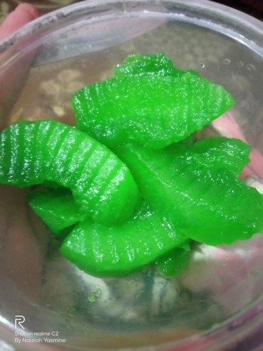 Makan manisan buah kundur