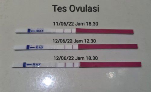 Hasil Tes Ovulasi