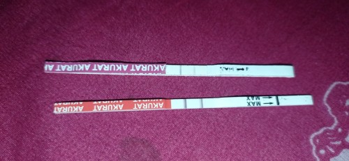 2x cek ada 2 garis . Dan sudah telat 6 hari