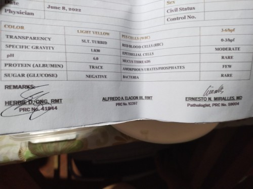 Urinalysis Result