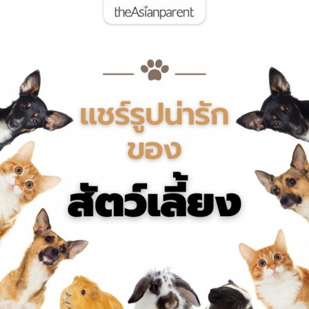 ขอดูรูปน่ารัก ๆ ของไอ้ต้าวสัตว์เลี้ยงแต่ละบ้านหน่อยค่า 🐶🐱🐹🐰