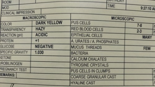 Urinalysis test result