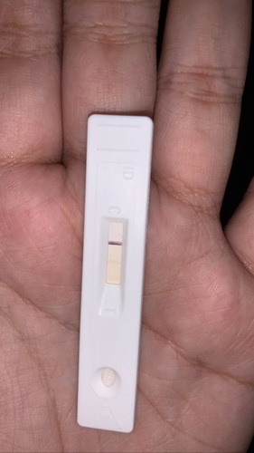 Pregnancy Test