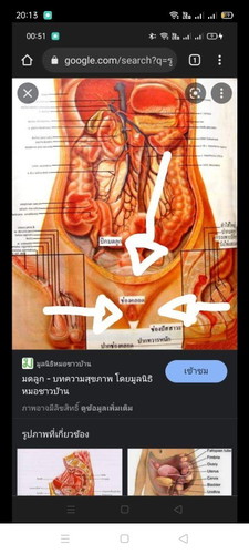 สอบถามอาการ