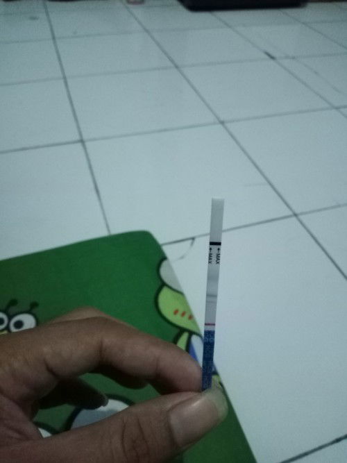 Ini hasilnya apa yaaa?