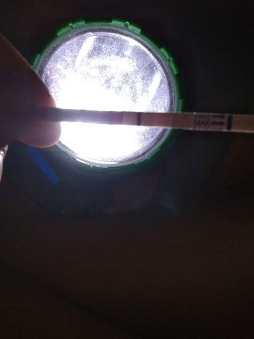 ตรวจการตั้งครรภ์