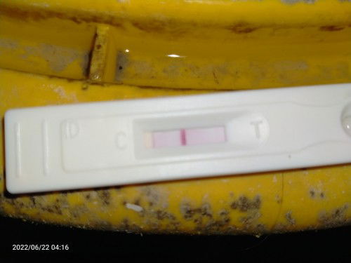 Negative Pregnancy test