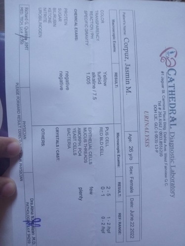 Pus Cells Result