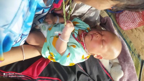 ลูกถ่ายอุจจาระสีเขียว