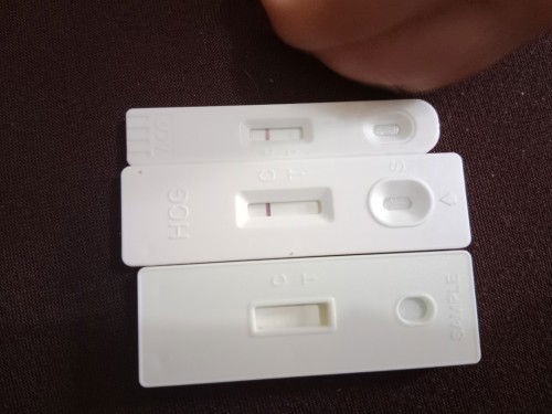 PREGNANCY TEST
