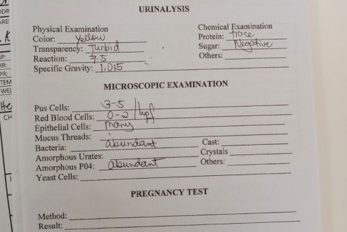 Checkup result