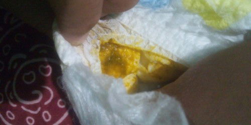 Bb newborn dan pup newborn