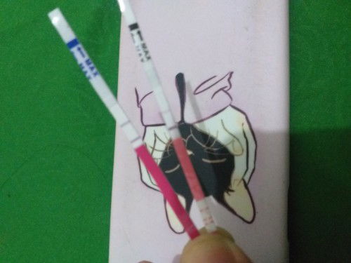 lebih Akurat Mana Alat tes Ovulasinya