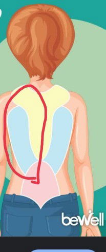 เกี่ยวกับเรื่องปวดหลัง