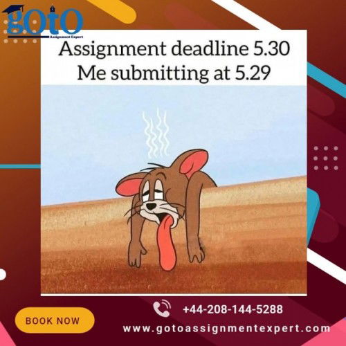 www.gotoassignmentexpert.com