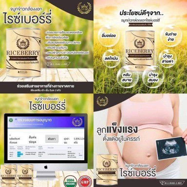 ใครเคยทานจมูกข้าวไหมค่ะช่วยลดความดันเบาหวานได้จริงเห็นผลไหมค่ะ..