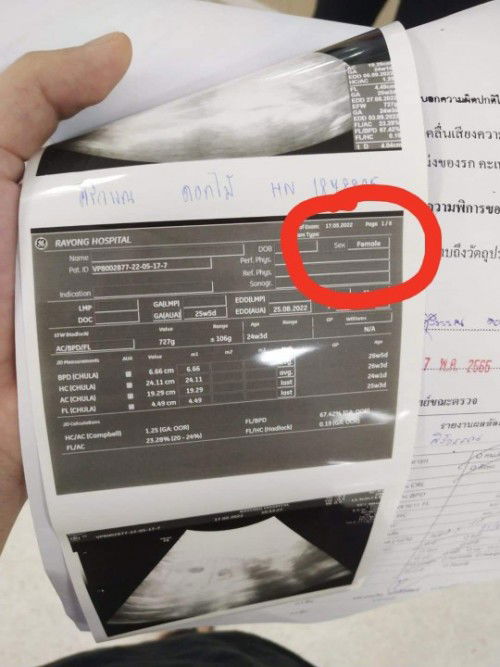 เพศหญิงหรือป่าว