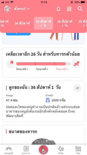 กำหนด 29 ก.ค