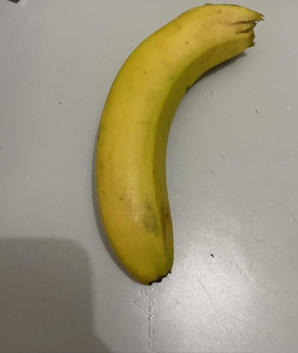 fruits- big banana