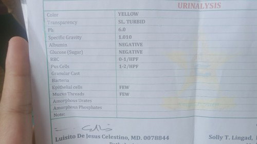 Urinalysis