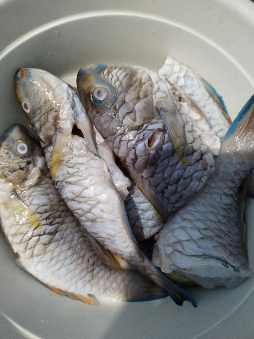 Ikan laut. Apakah aman untuk bumil ?