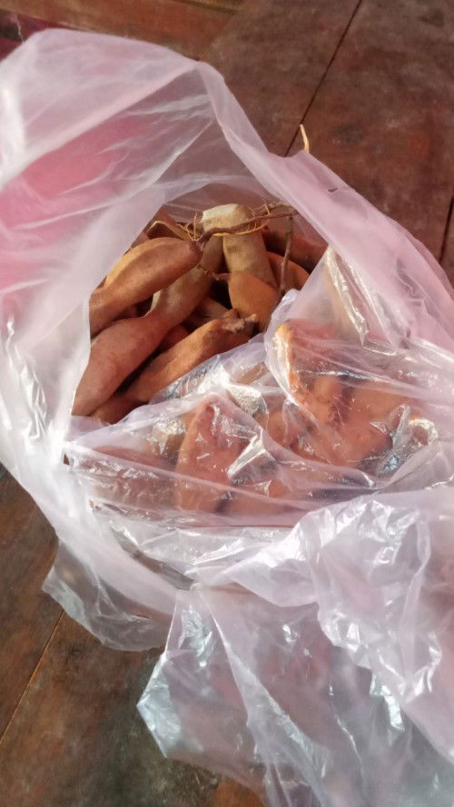 Suka makan asem jawa