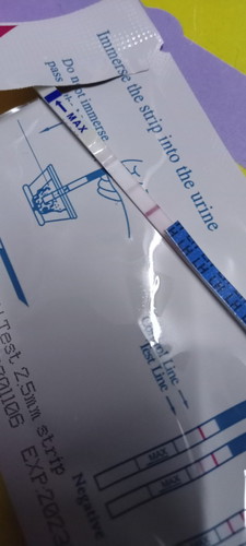 Fobia dengan pregnancy test. Double line, lepas sebulan, g klinik, dah tinggal 1 line. Then bleeding