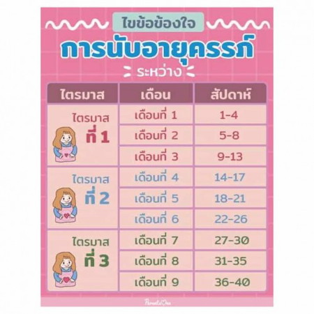 ไตรมาสไหนกันบ้าง