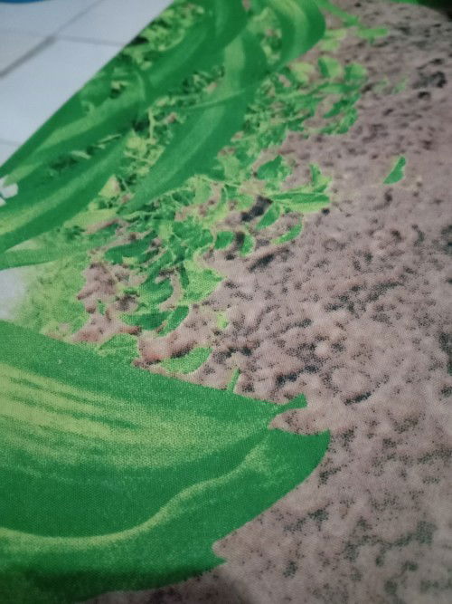 Suka kagetan usia baby 8bulan