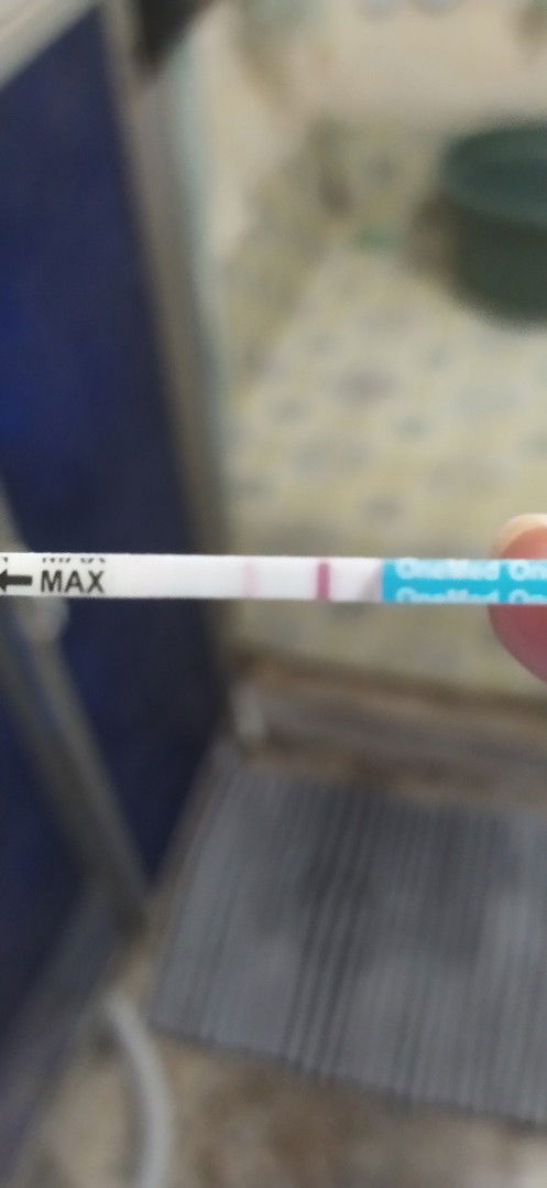 Testpack garis 2 samar