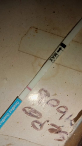 Bun mau nanya nih