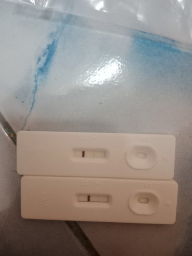 การตรวจครรถ์