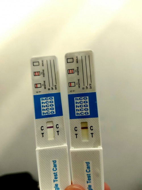 Apakah ini Implantasi tanda hamil ?