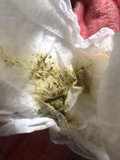 มีข้อสงสัยอยากจะถามแม่ๆค่ะ