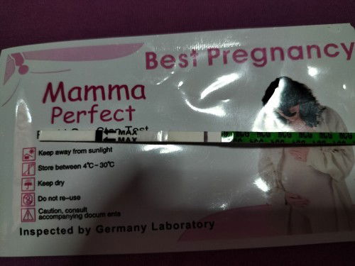 ที่ตรวจครรภ์