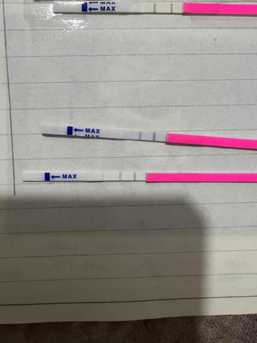 TEST OPK ✨