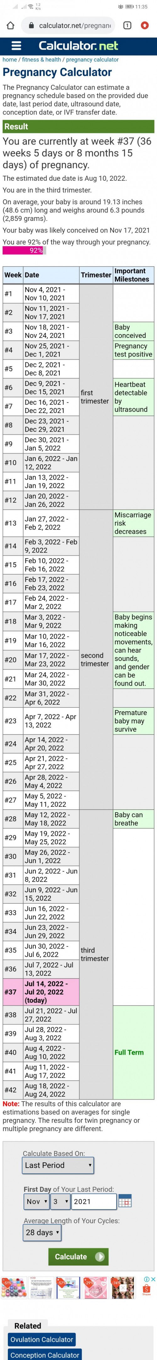 PREGNANCY CALCULATOR