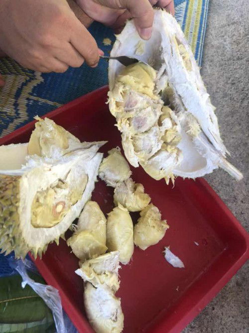 minumam kunyit buat kulit