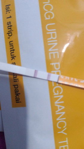 Hamil untuk pertama kalinya