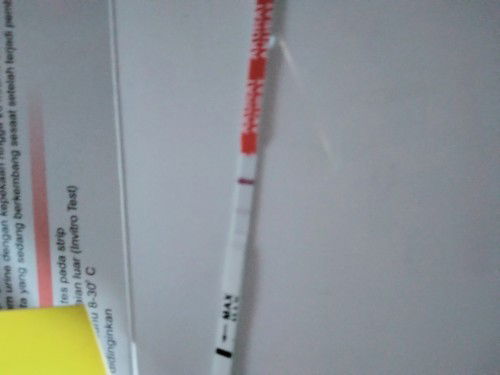 Tolong bantu sharing dong bunda bunda